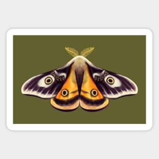 Moth Insect Art Goblincore Magnet